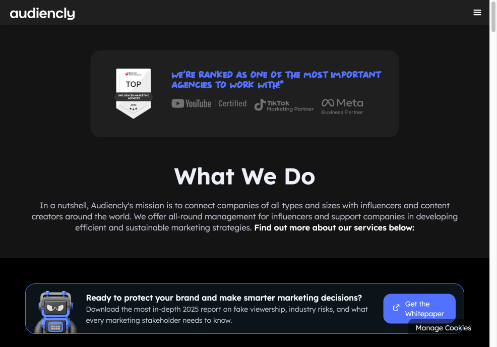 Audiencly influencer marketing services